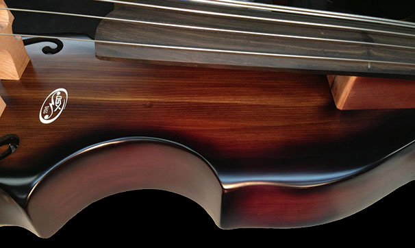 BSX bass image for contact page